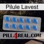 Lavest Pill 22